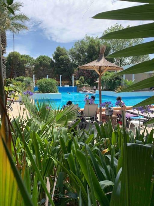 Appartement Cosy Confort Parking Clim Wifi Linge Acces Piscine Non Inclus Canet-en-Roussillon Zewnętrze zdjęcie