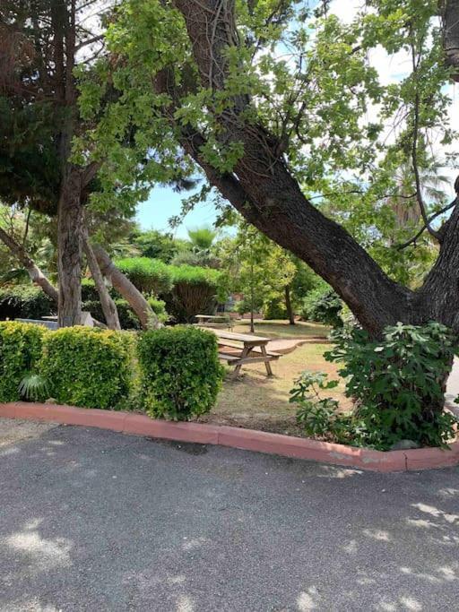 Appartement Cosy Confort Parking Clim Wifi Linge Acces Piscine Non Inclus Canet-en-Roussillon Zewnętrze zdjęcie