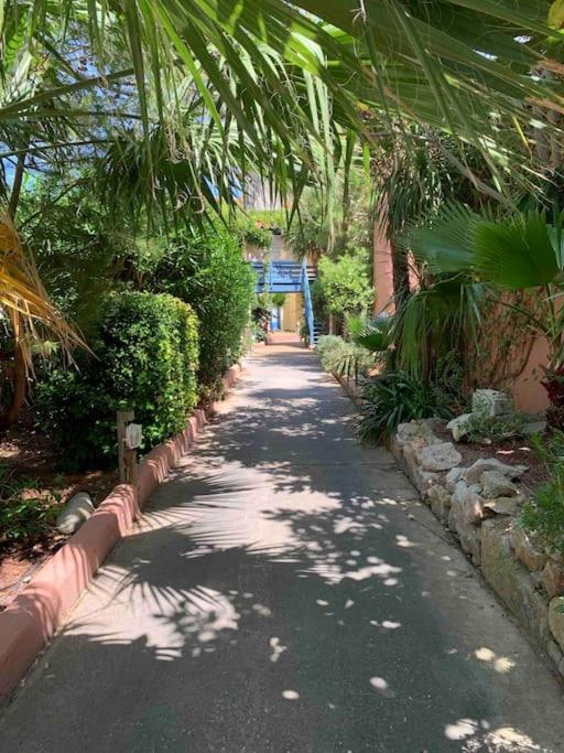 Appartement Cosy Confort Parking Clim Wifi Linge Acces Piscine Non Inclus Canet-en-Roussillon Zewnętrze zdjęcie