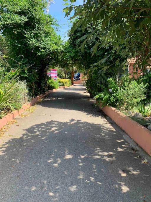 Appartement Cosy Confort Parking Clim Wifi Linge Acces Piscine Non Inclus Canet-en-Roussillon Zewnętrze zdjęcie